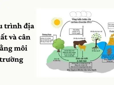 Vai trò chu trình địa chất trong bảo vệ hệ sinh thái