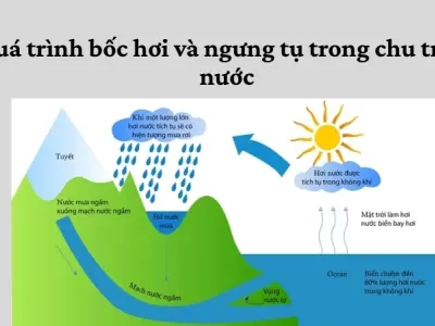 Nguyên lý hoạt động của chu trình nước trên Trái Đất