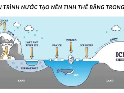 Vì sao nước đóng thành băng? Nhiệt độ để nước chuyển thành băng