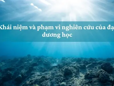 Đại dương học và vai trò quan trọng trong bảo vệ biển cả