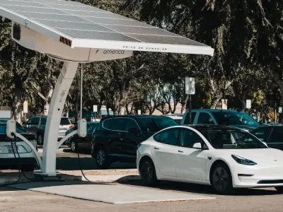 Lợi ích thần kinh học của việc đi bộ đô thị đối với não bộ