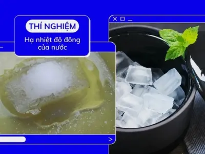 Vì sao muối làm tan băng? Nguyên lý hạ điểm đóng băng