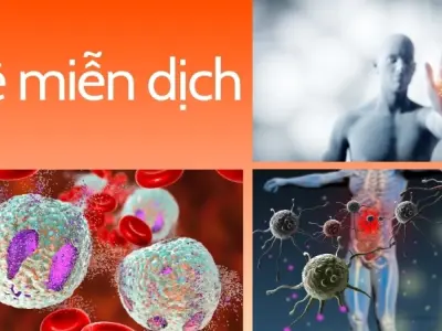 Vì sao chúng ta có thể bị sốt cao? Rủi ro khi sốt quá cao
