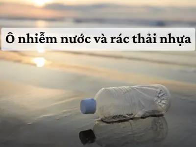 Nguyên nhân gây suy giảm hệ sinh thái biển toàn cầu hiện nay