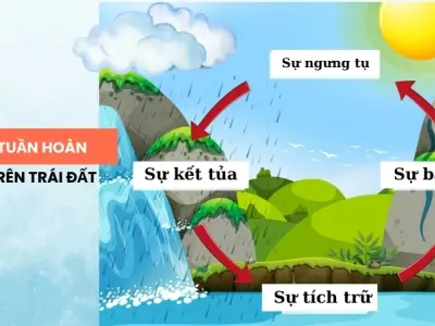 Giải thích vì sao trời mưa? Ba bước tạo thành những cơn mưa