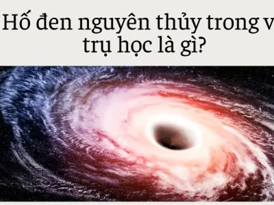 Hố đen nguyên thủy và ảnh hưởng đến cấu trúc không gian