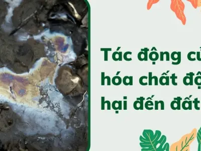 Tác động của hóa chất độc hại đến đất, nước và không khí