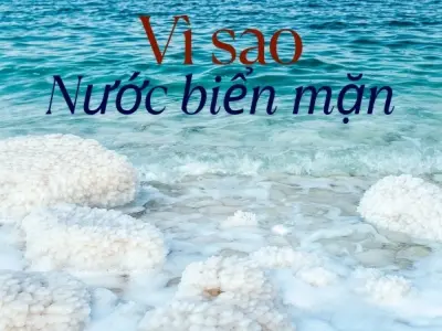 Vì sao nước biển mặn? Giải thích chu trình địa chất chi tiết