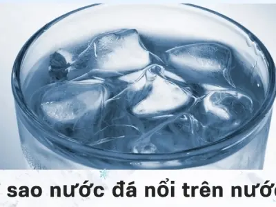 Phân tử nước đóng băng - Vì sao nước đá nổi trên nước