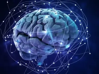 Học tăng cường và ứng dụng nổi bật trong trí tuệ nhân tạo