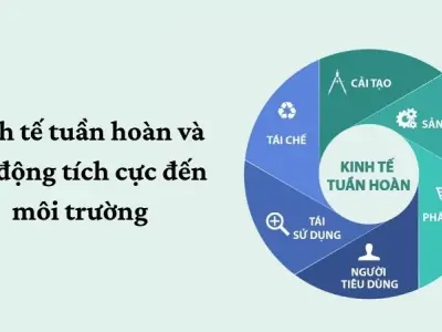 Lợi ích của kinh tế tuần hoàn đối với xã hội và môi trường
