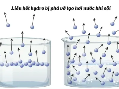 Vì sao nước sôi tạo hơi? Sự thay đổi trạng thái vật chất