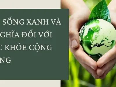 Tại sao lối sống xanh lại quan trọng trong xã hội hiện đại