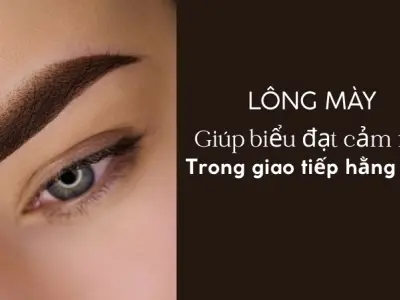 Vì sao chúng ta có lông mày? Quá trình tiến hoá