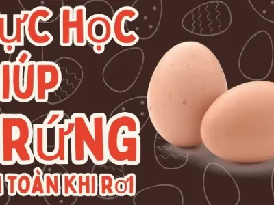 Vì sao trứng không vỡ khi rơi? Thí nghiệm cầu trứng