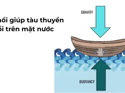Vì sao tàu nổi trên nước theo nguyên lý Archimedes