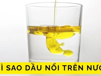 Lực đẩy Archimedes hoạt động ra sao? Vì sao dầu nổi trên nước