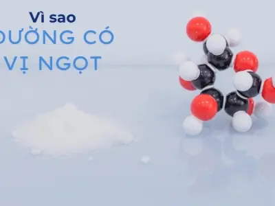 Vì sao đường có vị ngọt? Cách tín hiệu ngọt được gửi đến não bộ