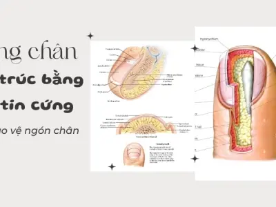 Vì sao chúng ta có móng chân? Vai trò của bước đi