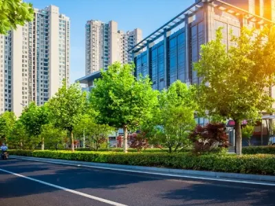 Cần bao nhiêu không gian xanh để cải thiện sức khỏe tinh thần?