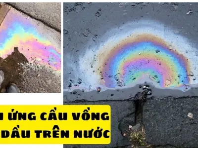 Vì sao có cầu vồng trong dầu - Ví dụ quen thuộc trong tự nhiên