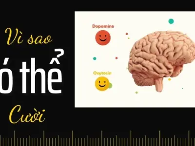 Vì sao chúng ta cười? 5 lợi ích bất ngờ của tiếng cười