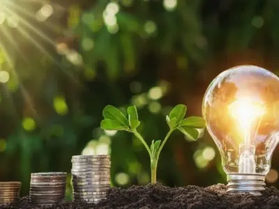Sinh học giải thíc vì sao cây cần ánh sáng để sống?