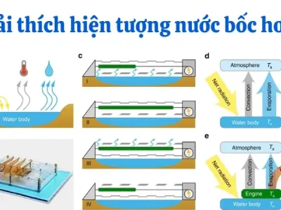 Vì sao nước bốc hơi nhanh hơn khi có gió và ánh sáng mặt trời