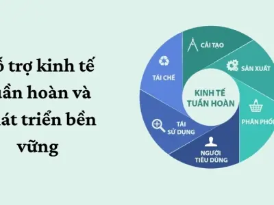 Lợi ích của nông nghiệp bền vững cho sức khỏe con người