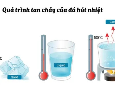 Vì sao nước đá làm lạnh đồ uống? Nguyên lý truyền nhiệt
