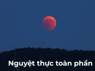 Vì sao có nguyệt thực? Giải thích sự che khuất của Trái đất