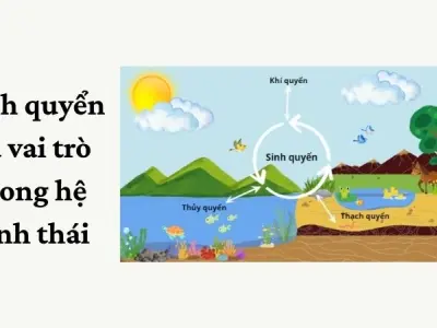 Sinh quyển ảnh hưởng như thế nào đến tài nguyên thiên nhiên