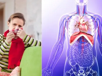Vì sao chúng ta bị nấc cụt? Cơn co thắt của cơ hoành