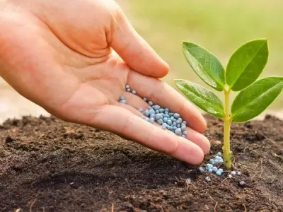 Khoa học nông nghiệp không carbon giảm khí thải