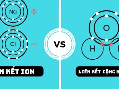 Vì sao muối hòa tan nhanh hơn đường? Liên kết hoá học