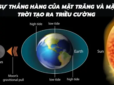 Mặt Trăng kéo nước biển - Giải thích vì sao có thủy triều