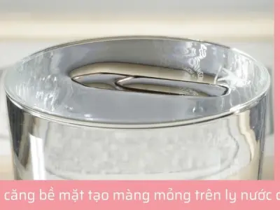 Hiện tượng vật lý thú vị giải thích vì sao nước không tràn ra khỏi ly đầy