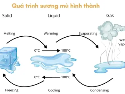 Giải thích hiện tượng vì sao có sương mù khi độ ẩm không khí cao