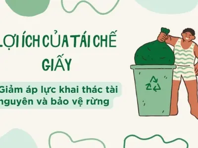 Lợi ích của tái chế giấy đối với hệ sinh thái và môi trường