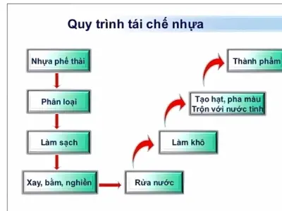Hướng dẫn tái chế nhựa đúng cách giúp giảm ô nhiễm