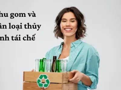 Các phương pháp tái chế thủy tinh hiệu quả cho cộng đồng
