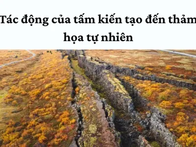 Nghiên cứu các tấm kiến tạo giúp hiểu rõ biến đổi địa chất