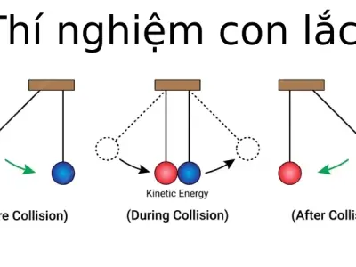 Vì sao con lắc dao động? Năng lượng và lực học kỳ diệu
