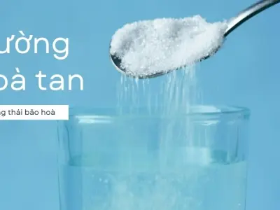 Vì sao đường tan trong nước? Vai trò của các phân tử phân cực