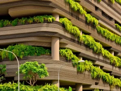 Loài cây nào trong rừng đô thị hấp thụ bụi mịn hiệu quả nhất