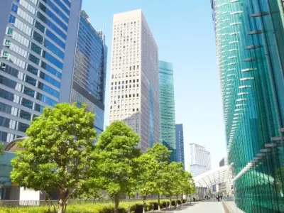Bí mật thiết kế đô thị giảm nhiệt độ thành phố