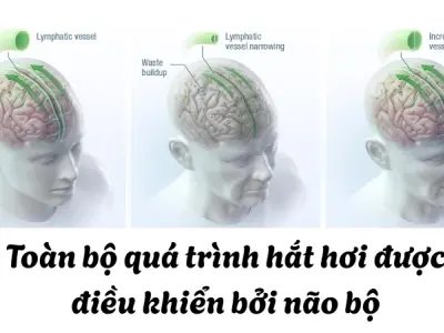 Vì sao chúng ta hắt hơi? Sự thật về nhắm mắt khi hắt hơi