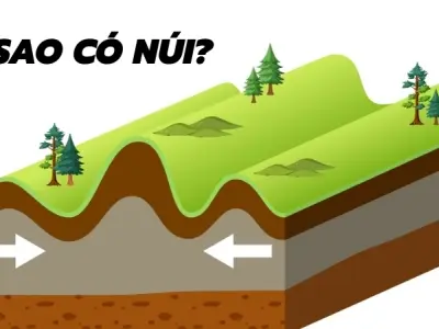 Mảng kiến tạo va chạm ra sao? Giải thích vì sao có núi