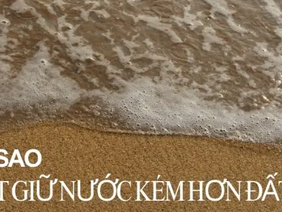 Vì sao cát giữ nước kém hơn đất? Cách cải tạo đất cát