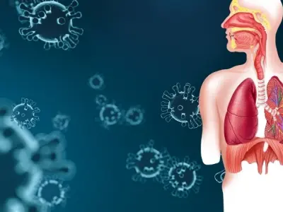 Vì sao chúng ta bị cảm lạnh? Hệ miễn dịch của cơ thể